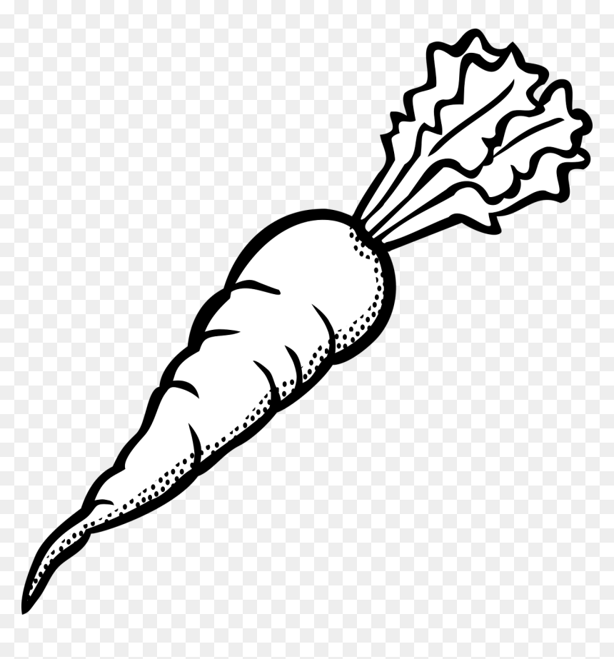 Black And White Carrots, HD Png Download - carrot vegetable png