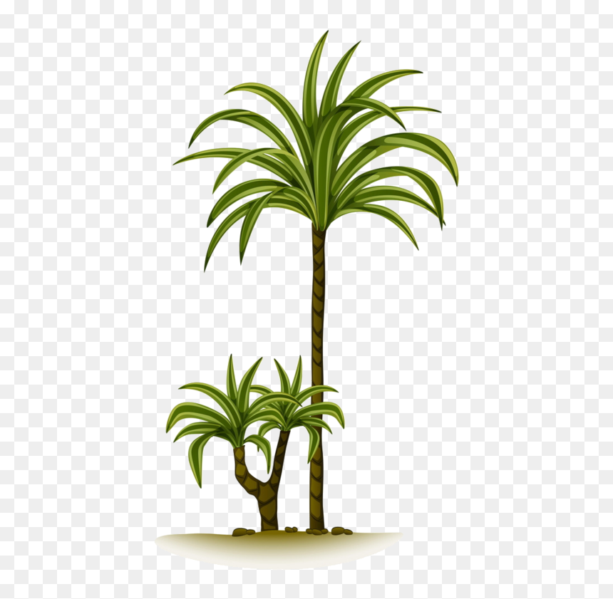 Arbre Tubes Png Trees Pinterest Craft Images - Tube Palmier Png, Transparent Png - png images of trees