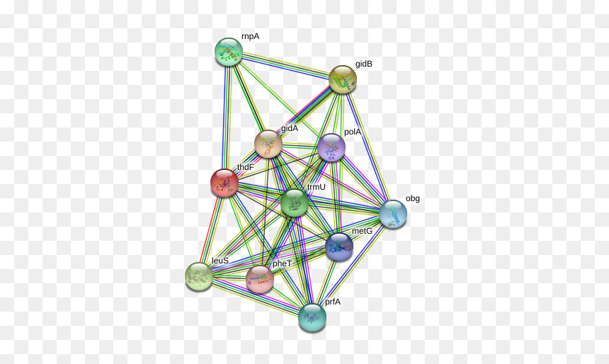 Thdf Protein - Circle, HD Png Download - pheta png