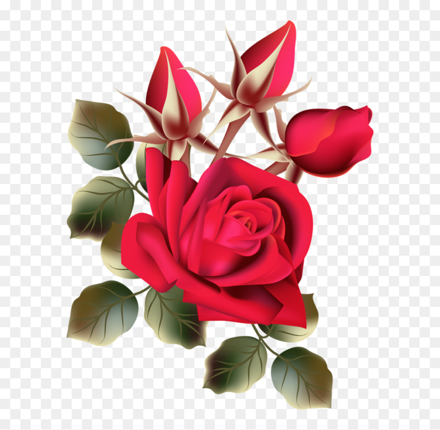 Image Du Blog Zezete2 - Hd Flower Rose, HD Png Download - rose flowers png images
