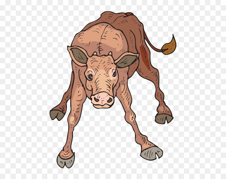 Wobbly Calf Png Icons - Cartoon Cow, Transparent Png - indian cow with calf png