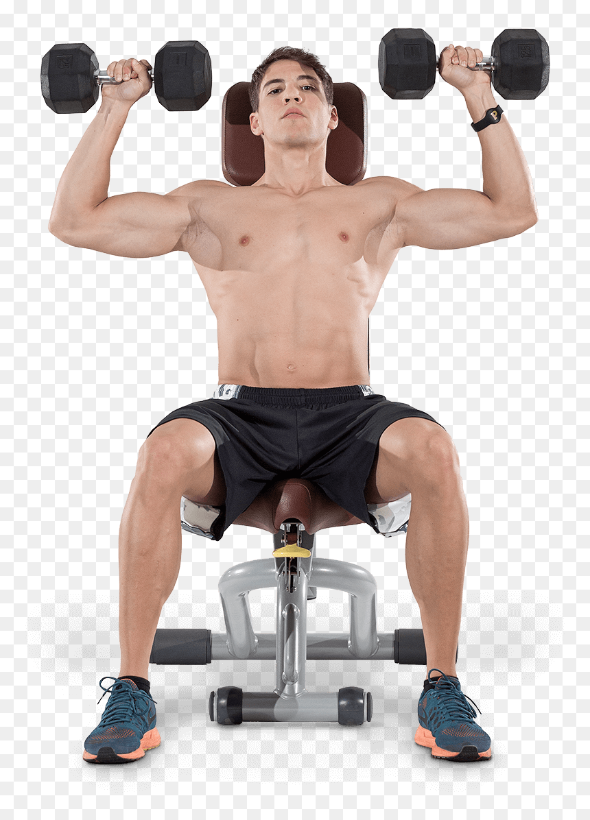 Biceps Curl, HD Png Download - body building png