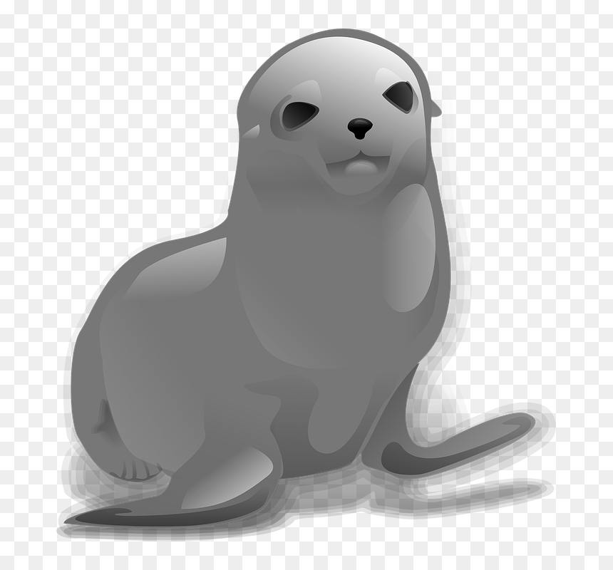 Seal Animal Png - Seal Clip Art, Transparent Png - animal png images