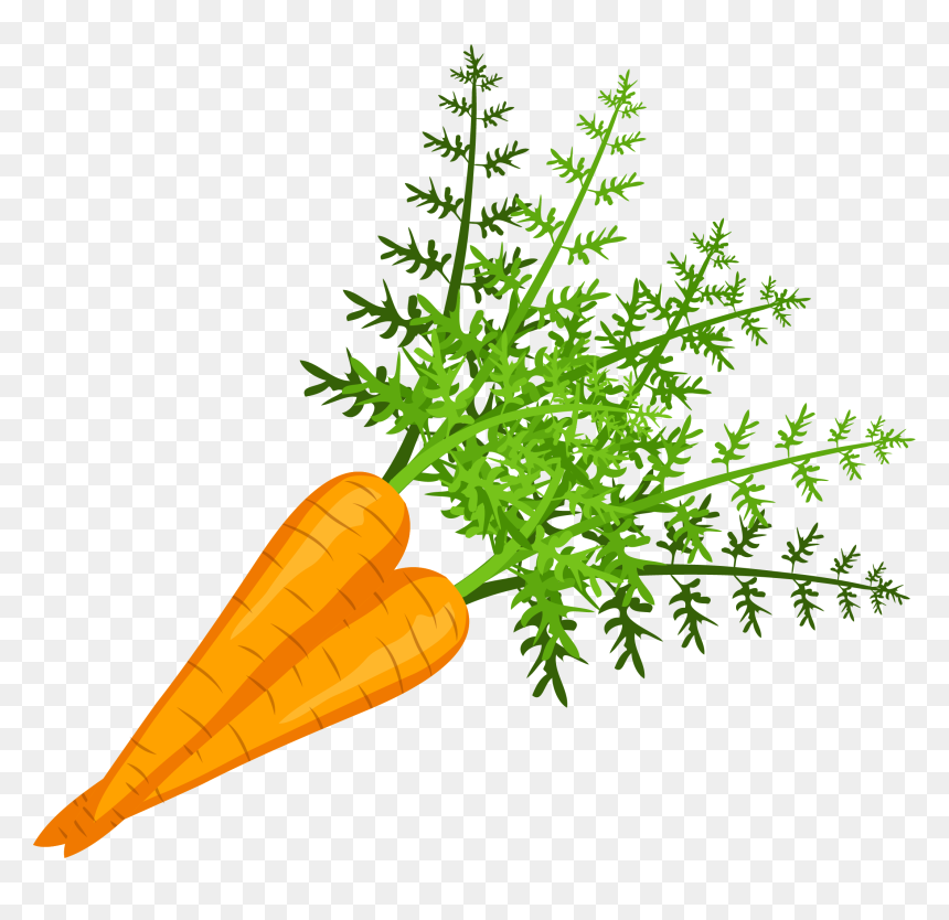 Baby Carrot, HD Png Download - carrot vegetable png