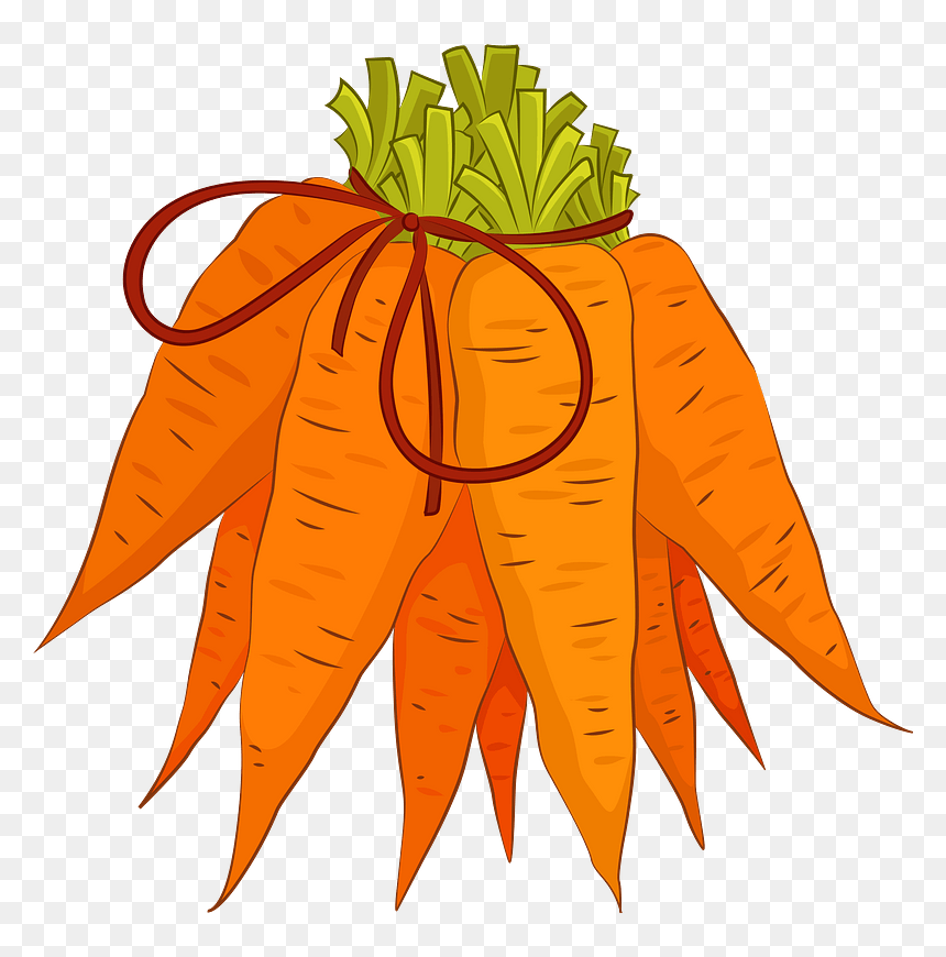 Carrot Clipart - Carrot, HD Png Download - carrot vegetable png