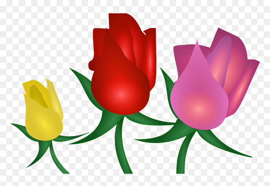Rose Flowers Floral - Portable Network Graphics, HD Png Download - rose flowers png images