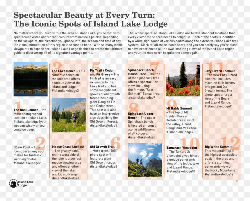 Spectacular Beauty At Every Turn The Iconic Spots Of - Untitled, Tailpiece, Pg. 135, In The Book Dingo By, HD Png Download - grass top view png