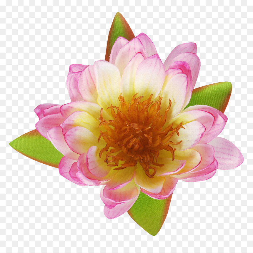 Flowers Bouquet Hd Png - Flower, Transparent Png - flower images hd png