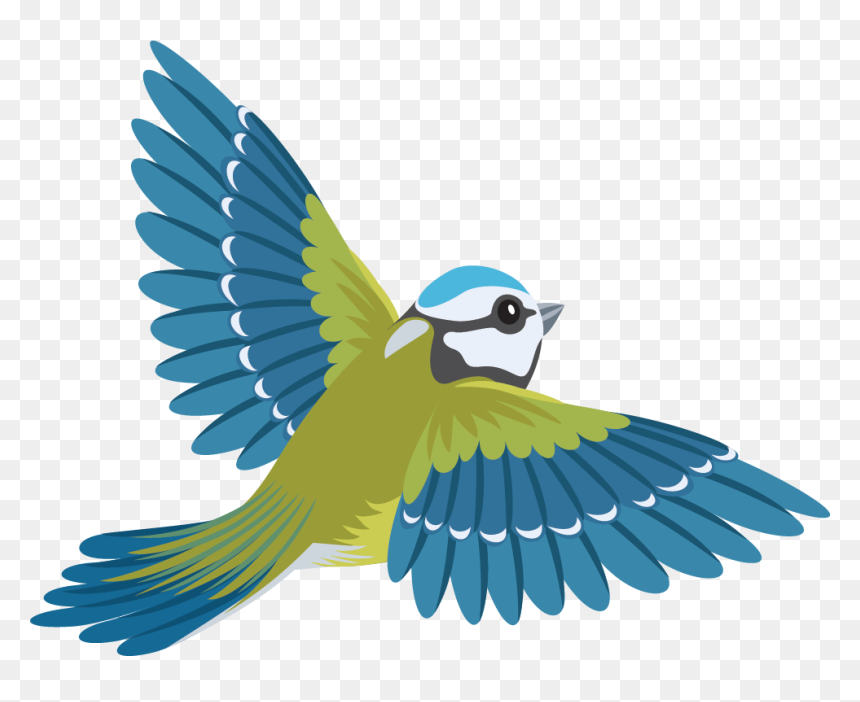Flying Colourful Birds Png, Transparent Png - flying birds images png
