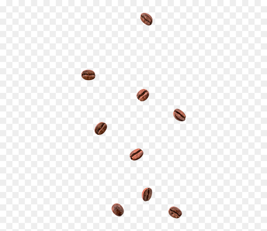 Cafe - Chocolate, HD Png Download - coffee seeds png