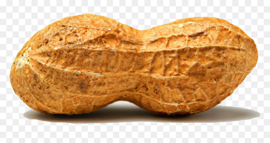 Peanut Png Images Free - Transparent Peanut Png, Png Download - groundnuts png