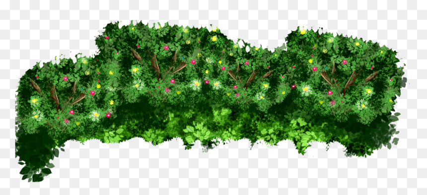 Arena Events Events Bushes - Oregon Pine, HD Png Download - bushes png images