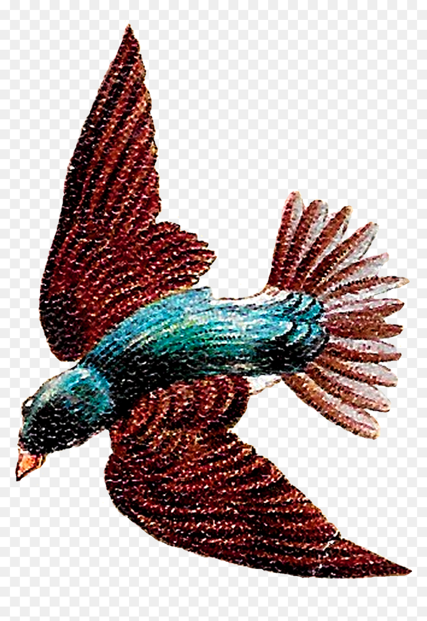 Vintage Flying Bird Illustration, HD Png Download - flying bird clipart png