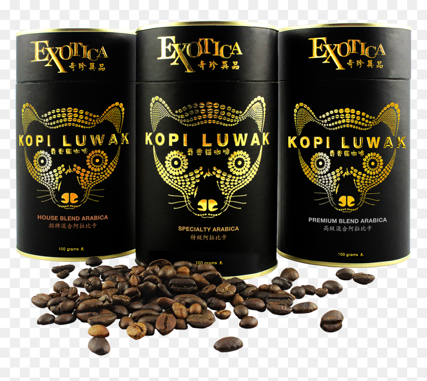 Specialty/premium Blend/house Blend - Kopi Luwak Coffee Transparent, HD Png Download - coffee seeds png
