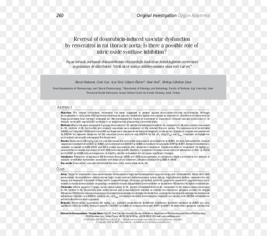 Scalp Tumor Surgical Pathology Report, HD Png Download - hast melap png