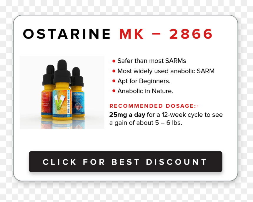 Buy Sarms At Provepeptides - Beer Bottle, HD Png Download - body building png