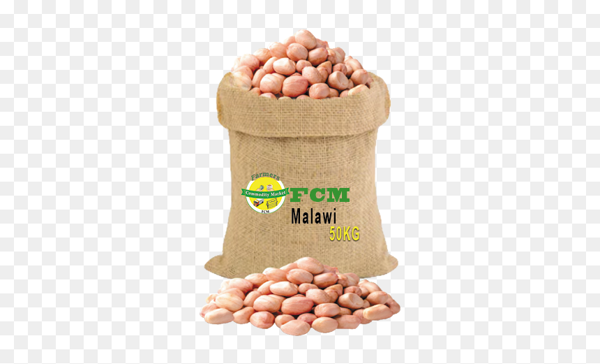 Peanut, HD Png Download - groundnuts png