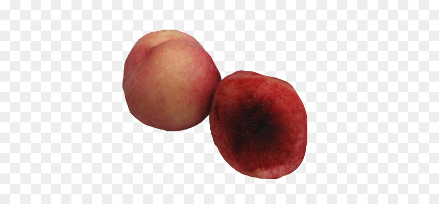 Image - Nectarines, HD Png Download - orange png image