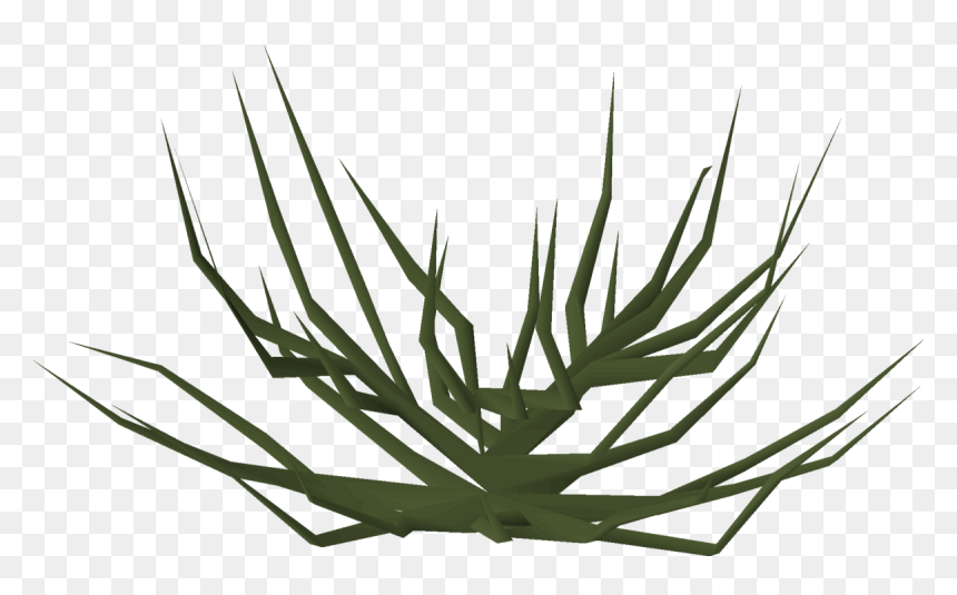 Agave, HD Png Download - bushes png images