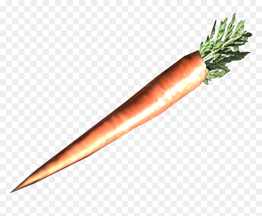 Nukapedia The Vault - Baby Carrot, HD Png Download - carrot vegetable png