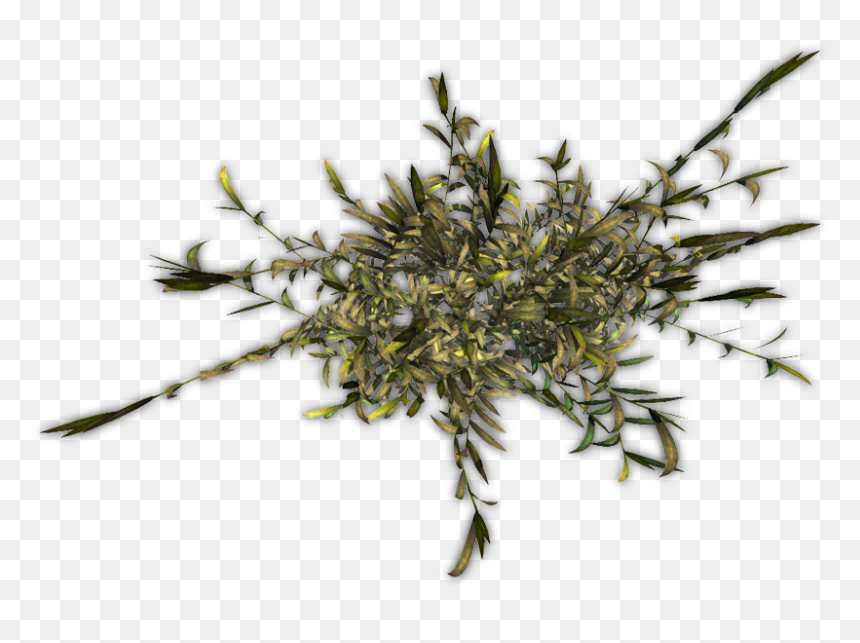 Transparent Bushes Png - Flower, Png Download - bushes png images