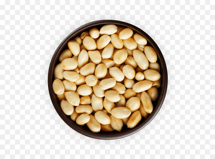 Cranberry Bean, HD Png Download - groundnuts png