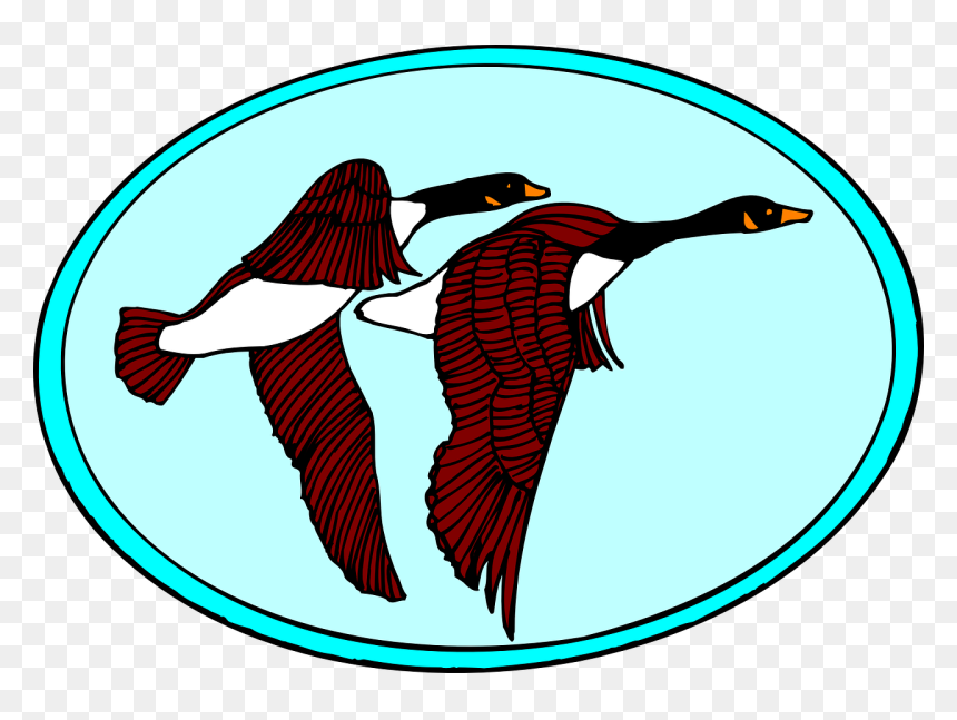 Clip Art, HD Png Download - flying birds clipart png