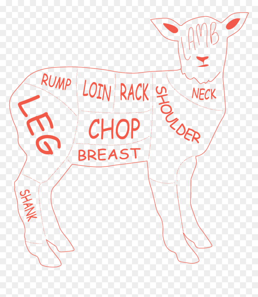 Lamb Loin Roast/saddle - Partition, HD Png Download - loin png