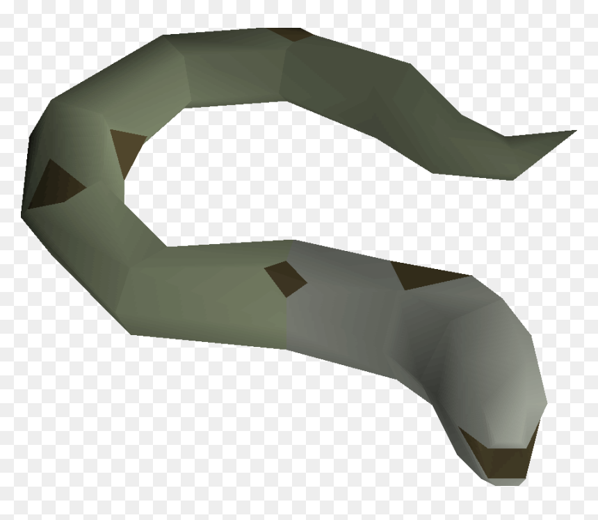 Mottled Eel, HD Png Download - eel png