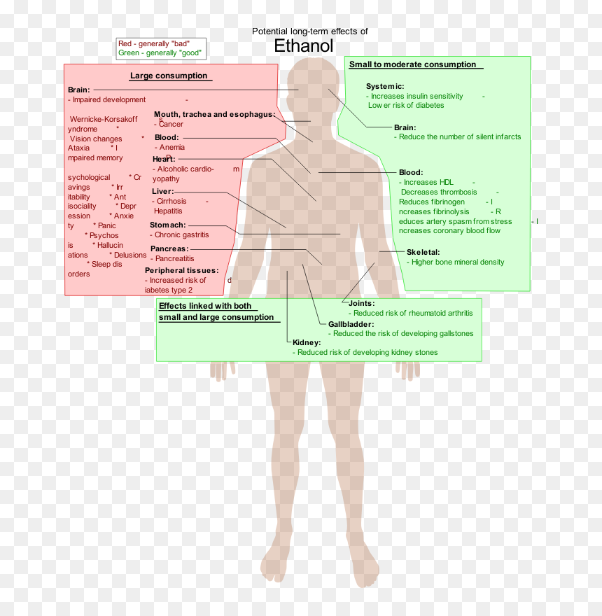 Possible Long-term Effects Of Ethanol, HD Png Download - love png effects