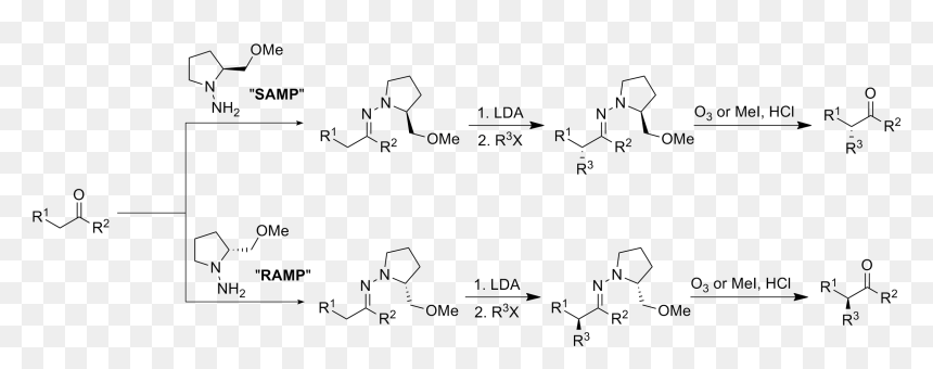 File - Endersreaction - Alkylation Of Aldehydes Mechanism, HD Png Download - ramp png