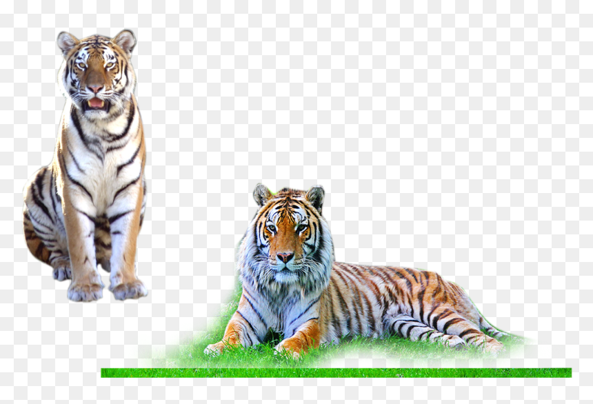 Photoshop Background Hd Png, Transparent Png - photoshop background hd png