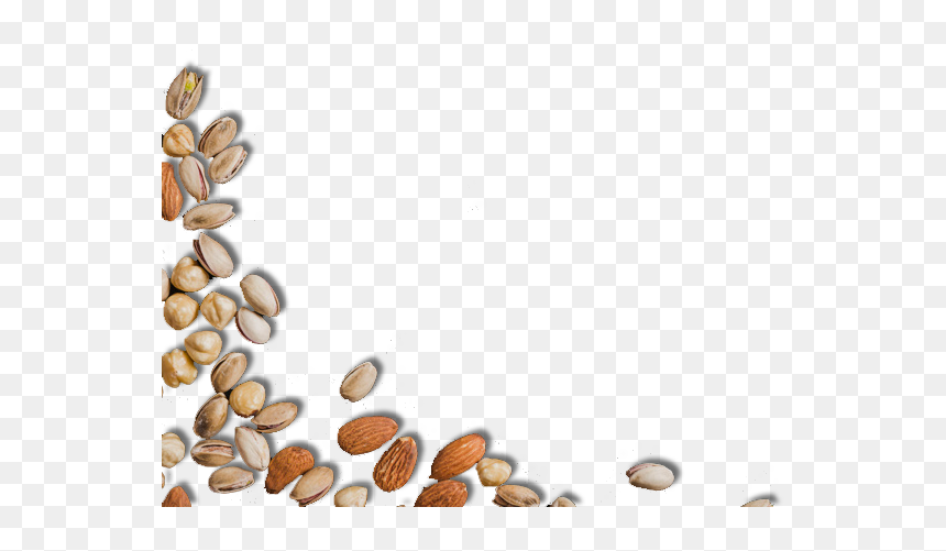 Baja - Seed, HD Png Download - coffee seeds png