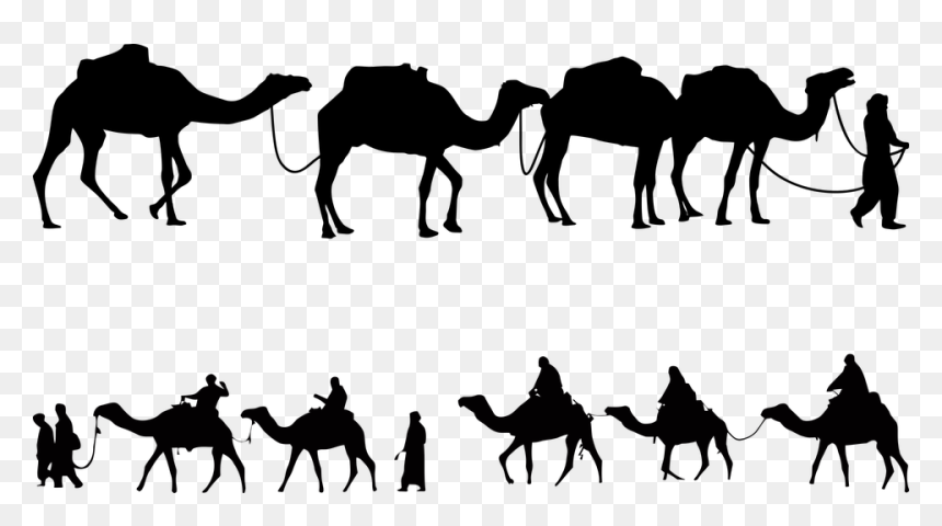Wise Men Still Seeks Him, HD Png Download - camel vector png