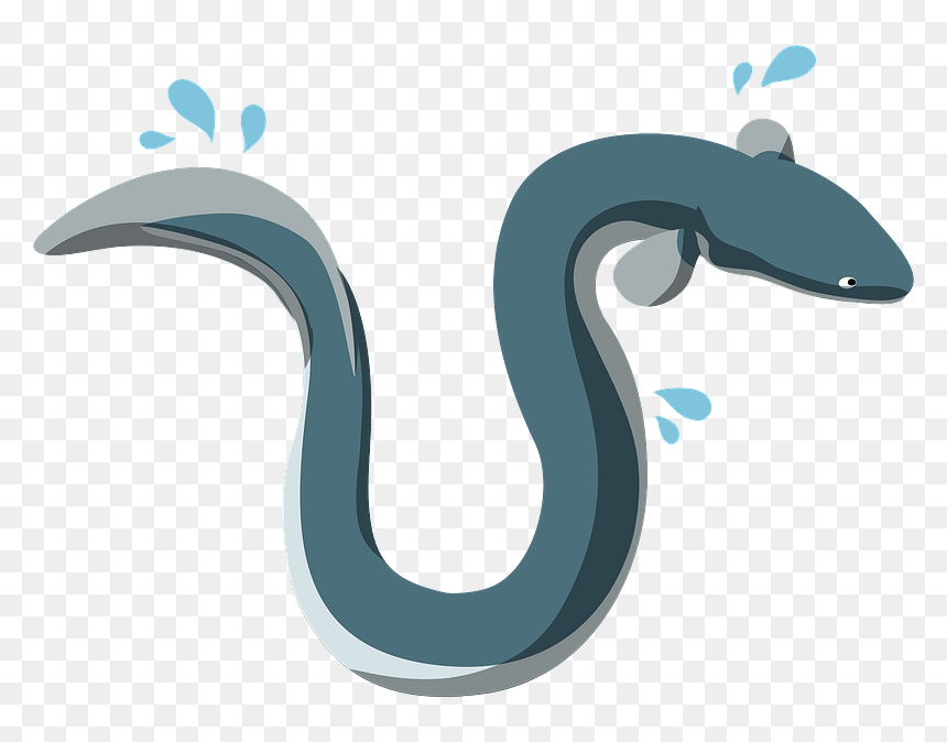 Unagi Eel Clipart - Cockfosters Tube Station, HD Png Download - eel png