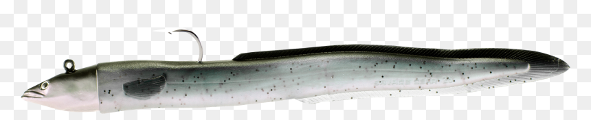 Anago, HD Png Download - eel png