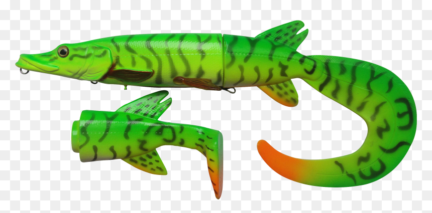 Transparent Eel Baby Green Clipart , Png Download - Northern Pike, Png Download - eel png