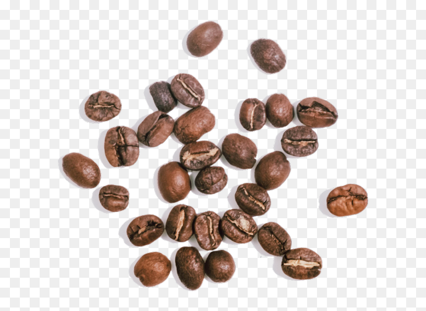 Chocolate, HD Png Download - coffee seeds png