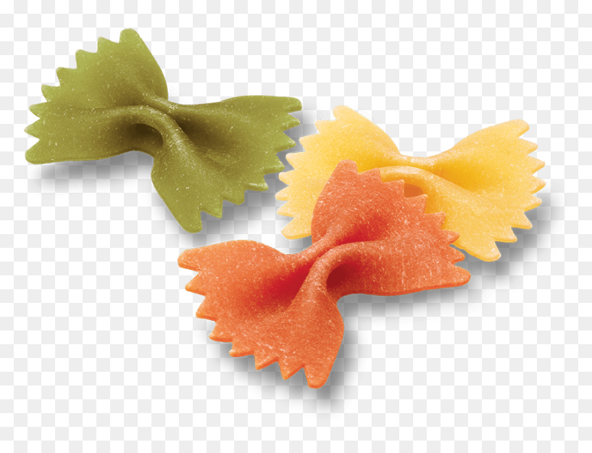 Transparent Tricolor Png - 100 Percent Satisfaction Guarantee Gif, Png Download - tri color png