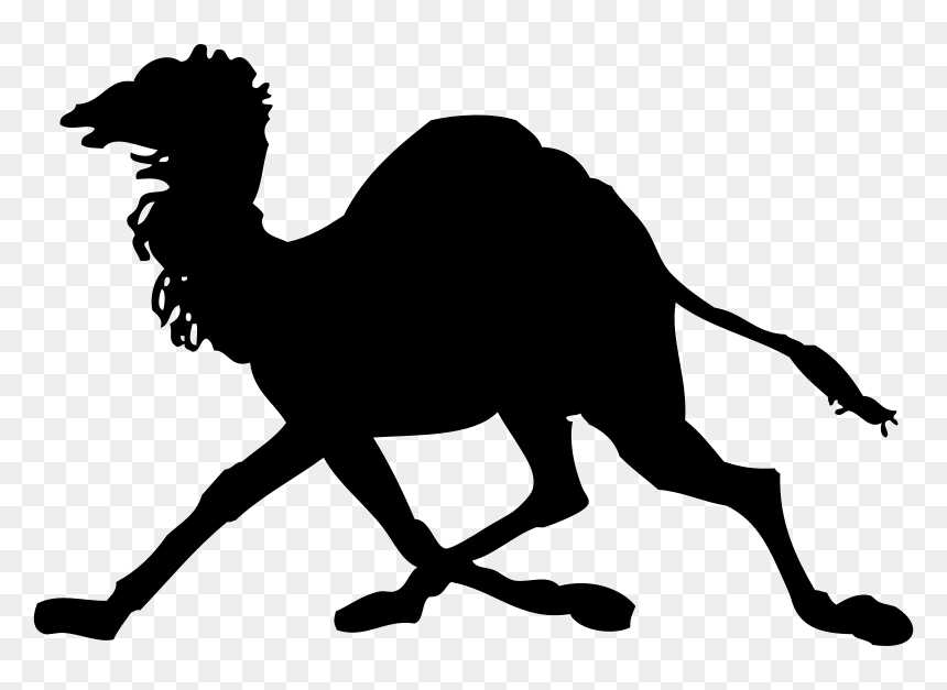 Camel Clip Art, HD Png Download - camel vector png