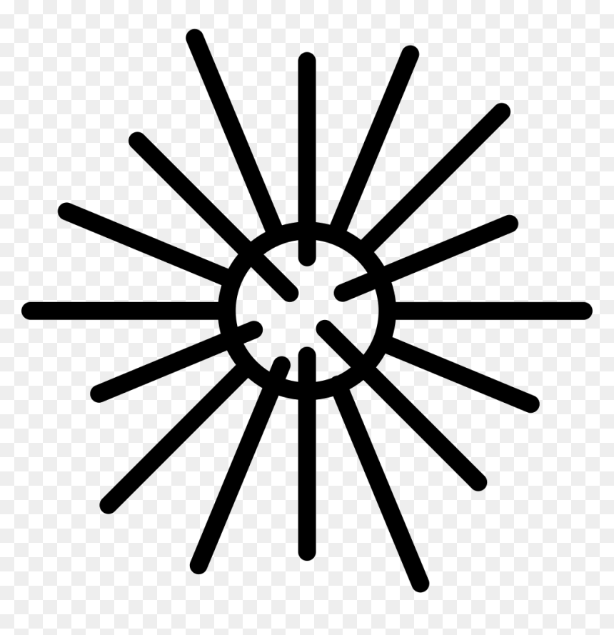 Sea Urchin - Christmas Star Line Vector, HD Png Download - sea vector png