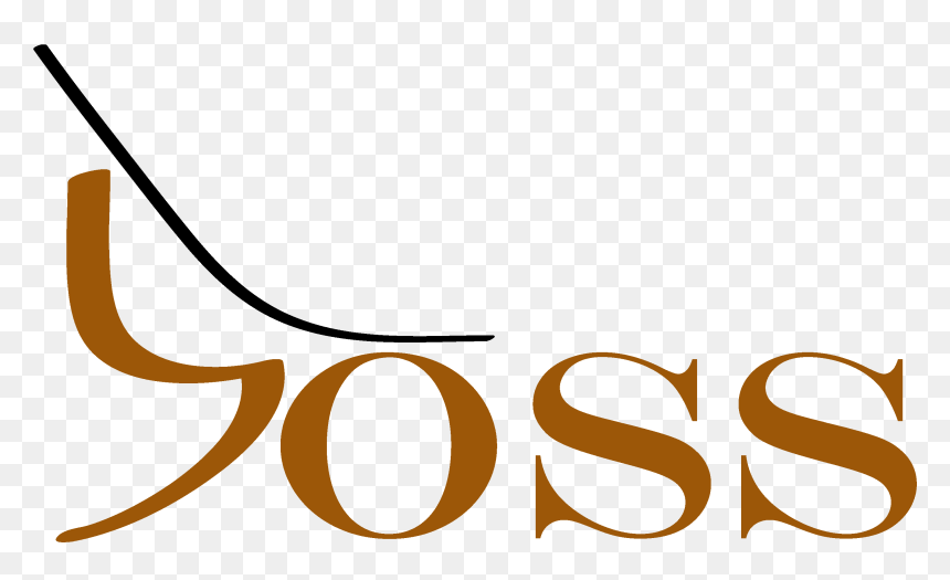 The Boss Boccia Ramp Logo, HD Png Download - ramp png