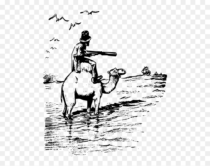 Man On Camel With Gun Vector Illustration - Clip Art, HD Png Download - camel vector png