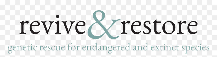 About Revive & Restore , Png Download - University Of Connecticut, Transparent Png - revive png