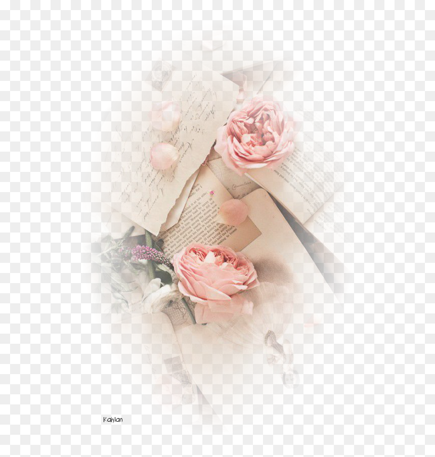 Thumb Image - Retro Style Rose Pink Aesthetic, HD Png Download - tubes png