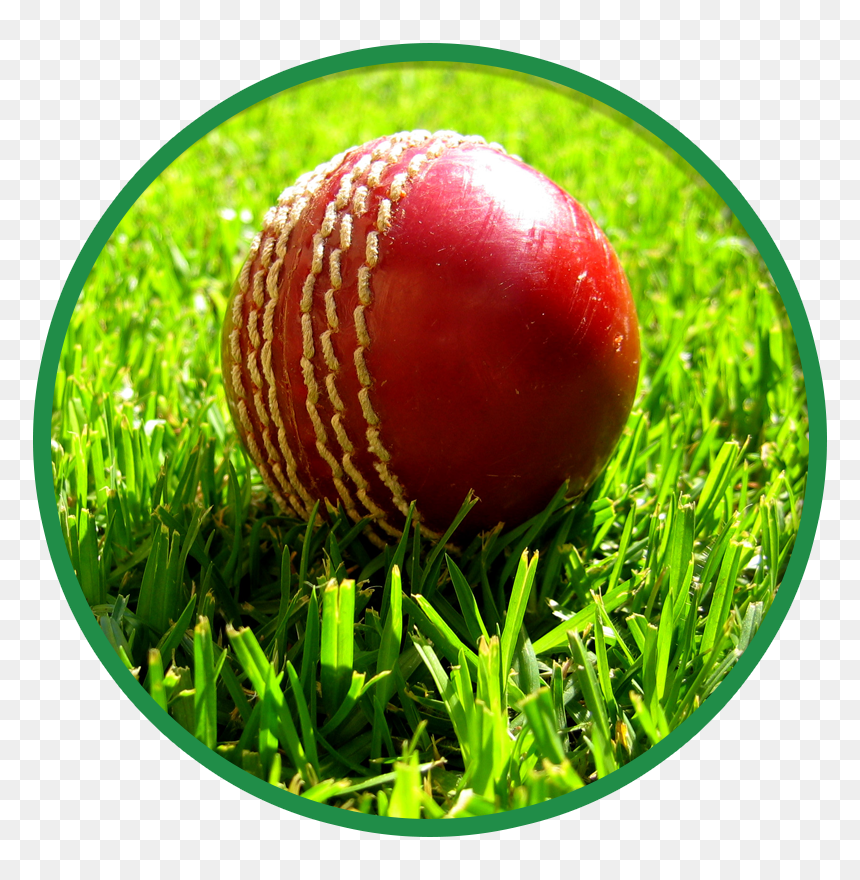Cricket Ball South Africa, HD Png Download - cricket pitch png