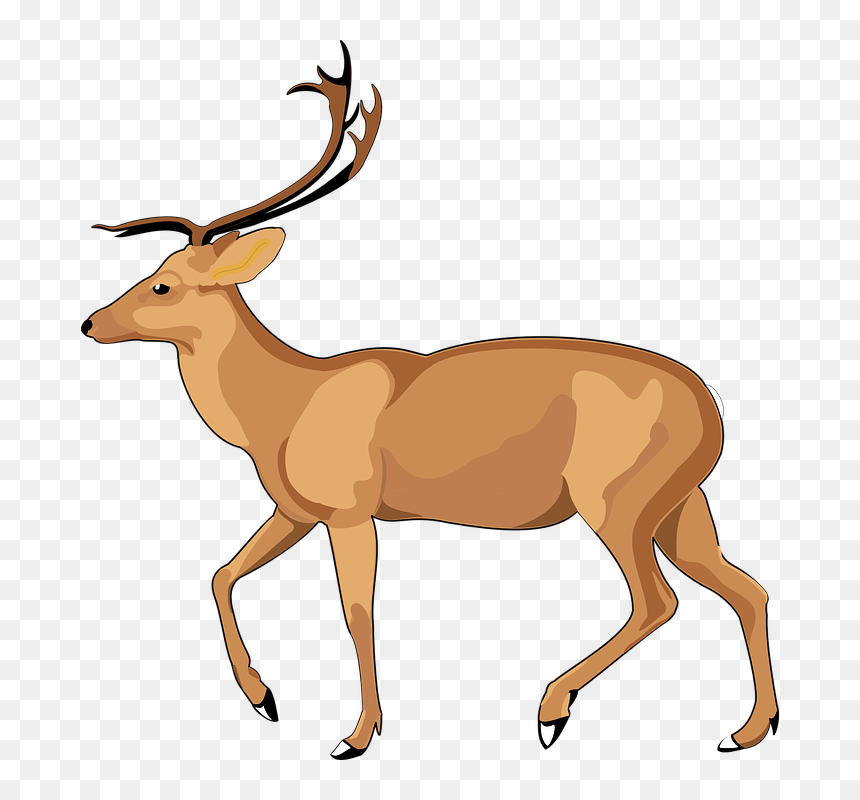 Debden Park High School, HD Png Download - person walking side view png