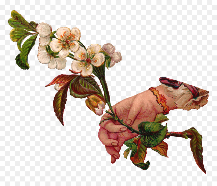 Hand Wht Flwr Branch Scrap-png Victorian - Victorian Flowers, Transparent Png - vintage pointing hand png