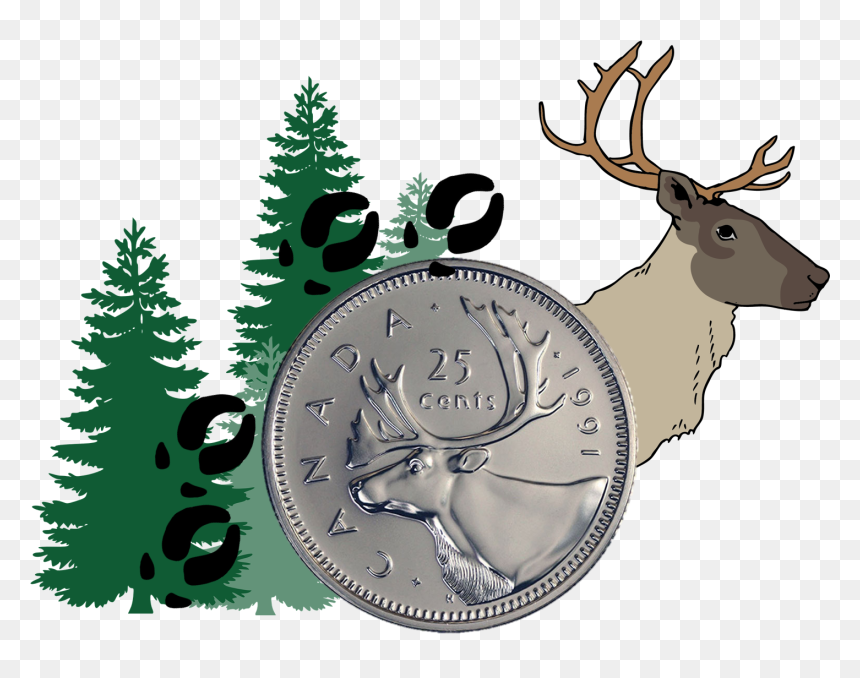 Caribou Banner Blog Aug 28, HD Png Download - caribou png