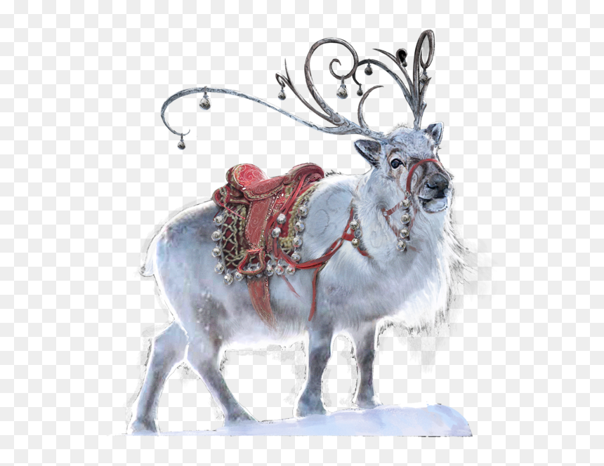 Reindeer, HD Png Download - caribou png